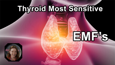 Thyroid Is The Most Sensitive Of All Our Glands To EMFs - Anna Maria Clement, PhD