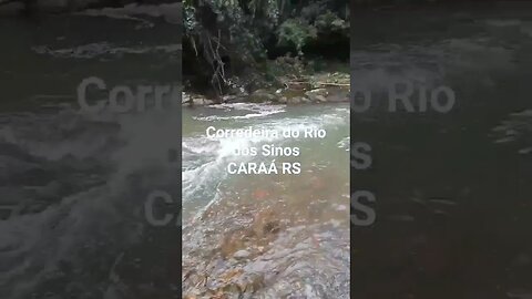 CORREDEIRA DO RIO DOS SINOS / CARAÁ RS #tendeuecoisarada
