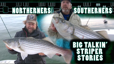 Northerner vs Southerner Big Talking Striper Stories