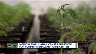 Medical marijuana licenses approved for former Gibraltar Trade Center
