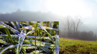 Morning sun melts frost on grassy field - Timelapse
