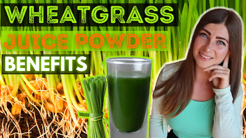 Wheatgrass Juice Powder Benefits and Uses [& How to Choose High Quality Wheatgrass Supplement]