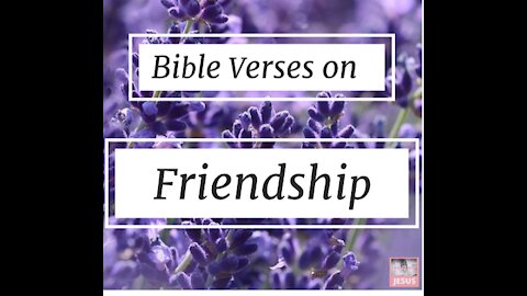 5 Bible verses on friendship part 9//bible verses for friends//bible verses for friendship#short