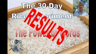 The 30 Day Rice Experiment Results