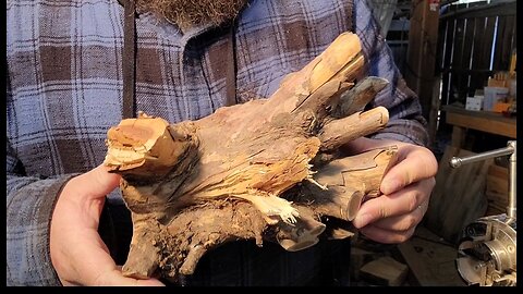The FINAL Episode of The Unknown Root - woodturning