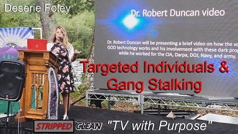 Targeted Individuals & Gang Stalking By: Deserie Foley