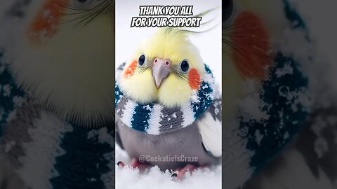 Cockatiels Craze: A Grateful Journey #MyYearOnYouTube2023 🦜
