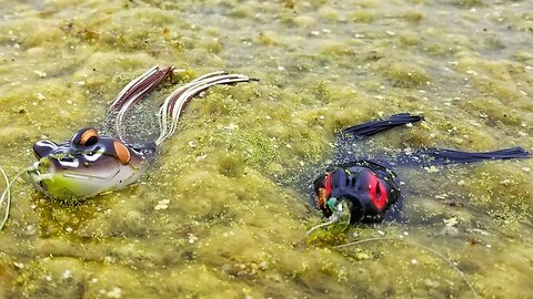 2 Lures that Stopped Catching Bass in 2022