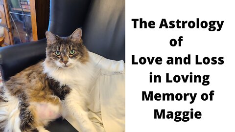 The Astrology of Love and Loss In Loving Memory of Maggie