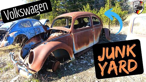 Huge VW Junk Yard Crawl in Texas Closing Soon! Save the VWs