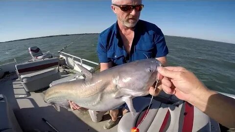 How to drift fish for summer catfish, hot weather blue cat fishing, summer blue catfish technique