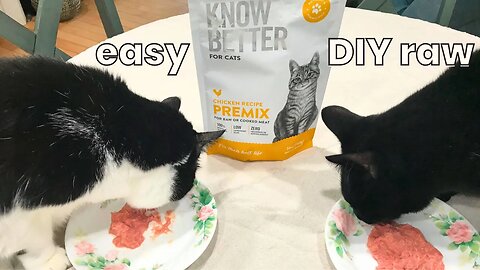 Make 3 pounds of cat food in less than 5 minutes (raw or cooked!)