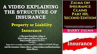 A Video Explaining the Structure of Insurance