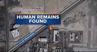 Las Vegas police investigate human remains found near Nellis AFB