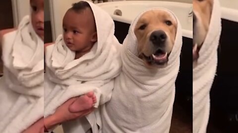 Toddler And Pet Dog Sit Beside Each Other In Blankets