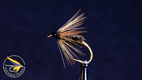 Tying the Marlow Buzz - Dressed Irons