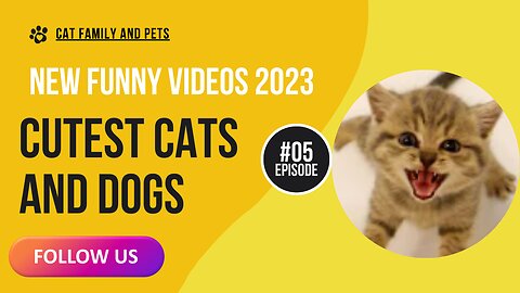 New Funny Videos 2023 😍 Cutest Cats and Dogs 🐱🐶 Part 05