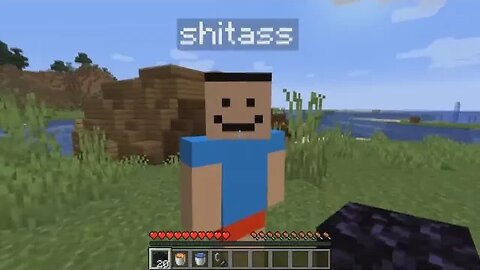 "HEY SHITASS" minecraft compilation 2