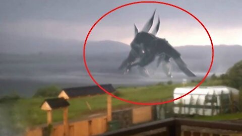 Top 10 Giant Creatures Caught on Camera 2021