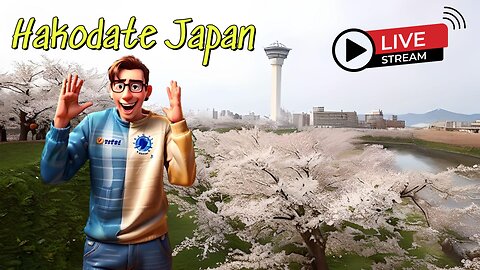 Hakodate Japan - Japan Q&A - Carrot in a box