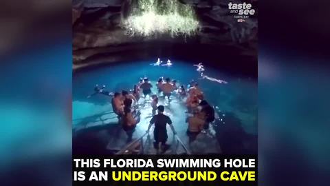 Devil’s Den: Florida’s prehistoric swimming hole | Taste and See Tampa Bay