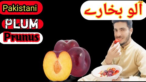 /Pakistani famous Plum prunus eating/ testy furit #pakistan natural fruits#