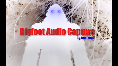 Bigfoot Audio Capture | Enhancement