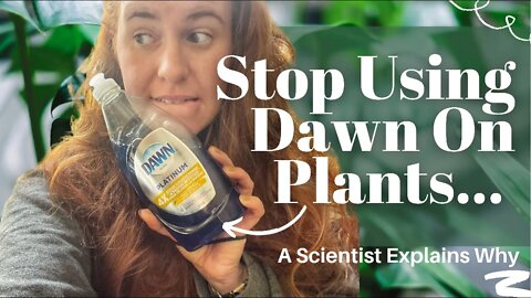 STOP Using Dawn Dish Soap On Your Plants. New Study Shows The Dangers Using Dish Soap To Treat Pests