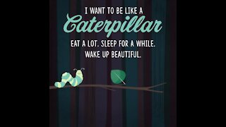 I want to be like a caterpillar [GMG Originals]