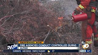 Fire agencies conducting controlled burns in Alpine