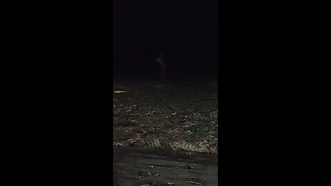 Big Buck walked out of the darkness