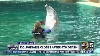 Dolphinaris closing after four dolphin deaths