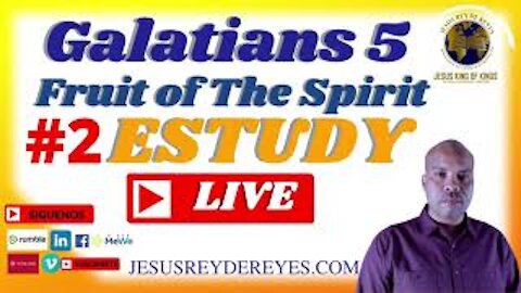 BIBLE STUDY GALATIANS 5, Verse by Verse Bible Study