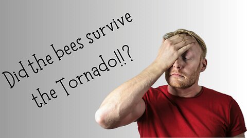 Did the bees survive the Tornado 🌪️ and 100mph winds?