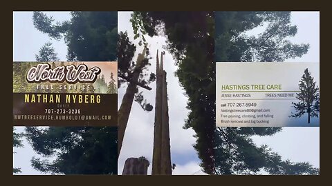 Nathan Nyberg & Jesse Hastings : Residential Redwood Safety Service