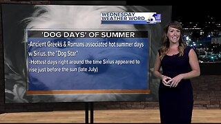 Rachel Garceau's Wednesday Weather Word: Dog Days of Summer