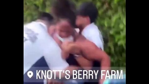 Black people beating people up and destroying Amusement Parks coast to coast. Knotts Berry & Magic Kingdom