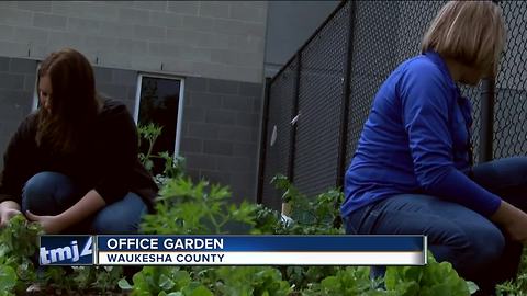 Waukesha County dispatchers garden to reduce stress