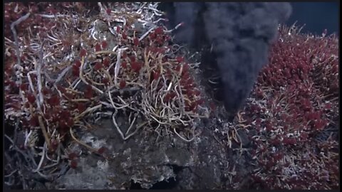 Documentary: Deep Sea Ocean Hydrothermal Vents Cold Seeps Chemosynthetic Life