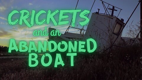 Crickets and an Abandoned Boat | 15 Minutes of Twilight | Ambient Sound | What Else Is There?