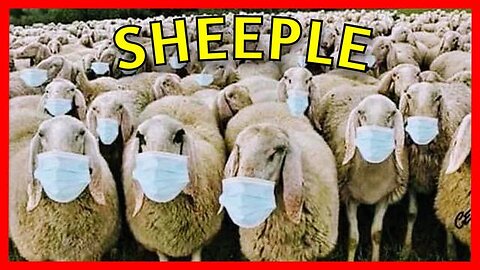 FOOL THE SHEEPLE | FAKE PANDEMIC 🐑