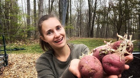 These Potatoes Want to Grow! | Planting VLOG