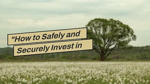 "How to Safely and Securely Invest in Bitcoin" for Dummies