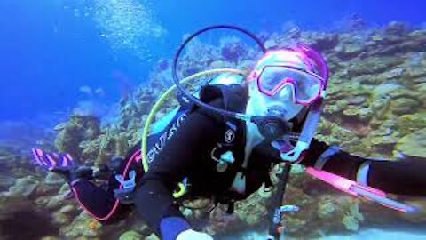 Scuba Diving Roatan Honduras Day 1