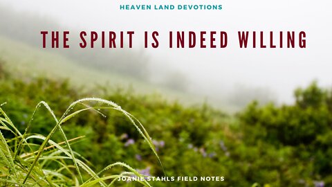 Heaven Land Devotions - The Spirit Is Indeed Willing