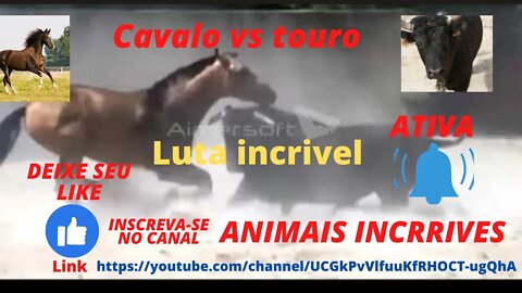 🔄Cavalo vs touro numa batalha inplacavel