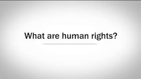 The Story of Human Rights