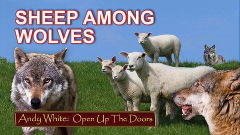 Andy White: Sheep Among Wolves