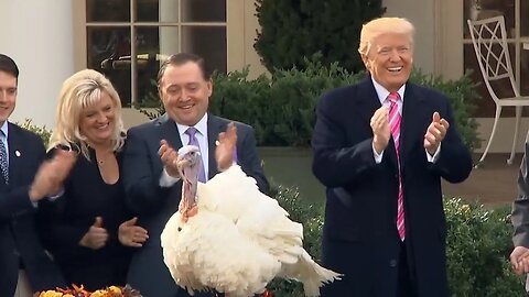 Trump Pardoning a Turkey is Absolutely HILARIOUS (2017)