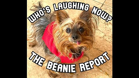 The Beanie Report (Ep. 4) - Who's Laughing at Biden now?